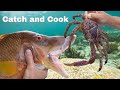 Catch & Cook * Crabs & Hogfish * Spearfishing off Key Largo