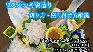 【ウスバハギの姿造り手順】姿造り100魚種チャレンジ(11/100)ウスバハギ姿造り