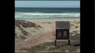 Calif. Beach Closed After Fatal Shark Attack