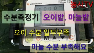 수분.EC.지온 측정기-오이.마늘밭 측정해보았습니다.[농사TV]