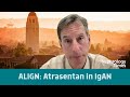 Accelerated Approval for Atrasentan in IgAN
