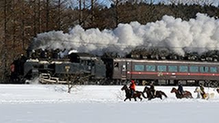 白銀駆ける馬とＳＬ　冬の湿原号にあわせ１５頭併走 （2015/01/25） 北海道新聞