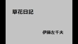 草花日記　作：伊藤左千夫