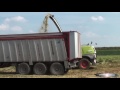 new claas jaguar 980 2015 at work with domai mpd 611 silage season 2015