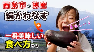 【西条市　特産】愛媛県西条市の特産のビックなビックな絹かわなすを美味しく食べる料理方法をお伝えします。