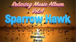 The Sparrow Hawk by Cihan Sabır Erarpat Relaxing Music Album Calm, Meditation, Study, Yoga, Sleeping