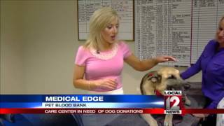 Medical Edge: Pet blood bank in need of dog donations