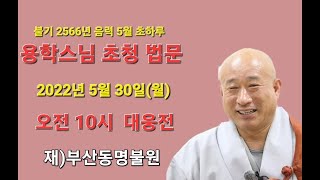 불기 2566년05월30일(월)  부산동명불원 음력5월 초하루 법회 용학스님 초청 법문