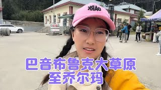 在新疆巴音布鲁克，遇到蒙古族同胞邀请我吃烤全羊，结果你猜怎么着？【娇娇环游中国】