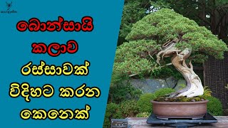 මානසික නිදහස උපරිමෙන්ම තියෙන රැකියාවක්