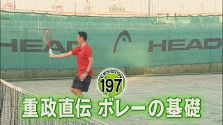 【熱血スーパーテニス】重政直伝 ボレーの基礎