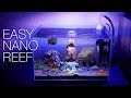 How To Clean A Nano Reef - The EASY Way!