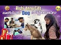 Rishi anna 🎁gift 👉🫶dog ki ella avuthudhi anukoledhu frds|sai@gullyporis3121