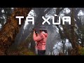 Chi tiết trekking Tà Xùa  - Chinh phục sống lưng khủng long, ngắm biển mây và rừng rêu ma mị