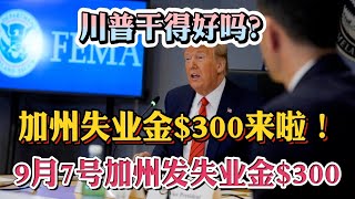 加州失业金补贴$300美元已经到账！9月7号开始发放额外失业金$300！要求2条：每周失业金超过$100且目前失业状态验证通过可拿失业金$300美元！特朗普说工资税现在不交了！每月可多出6.2%工资！