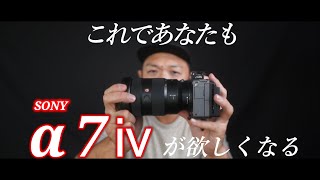 SONY α7ⅳをα7sⅲやFX3ユーザーが必ず欲しくなってしまう理由！