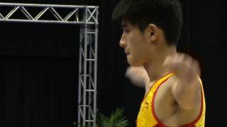 WC BIRMINGHAM 2011 -- YANG Song (CHN)