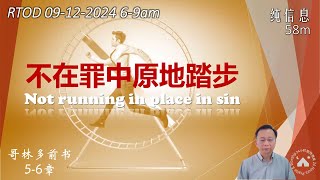 【RTOD纯信息】不在罪中原地踏步（09.12.2024）