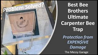 Best Bee Brothers Ultimate Carpenter Bee Trap