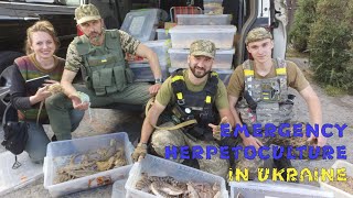 Emergency Herpetoculture from Nelly Kuzmenko: 80 days of occupation with thousands reptiles!