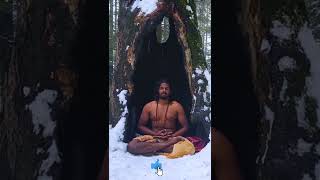 హిమాలయాల్లో స్వామీజీ శివ మహాదేవ్ | Swamiji Meditation At Himalayas | Shiva Mahadev KaalaYogi