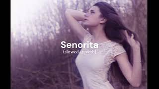 Senorita | Zindagi Na Milegi Dobara(slowed+reverb) || remix song || #lofi #slowedandreverb