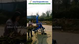 Mini Chaff Cutter Kadba Kutti Machine