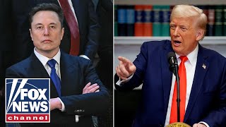 Trump backs DOGE, Musk: 'He's done a great job'