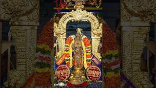 நம்பெருமாள் இராப்பத்து மற்றும் பகல் பத்து தொகுப்பு இரண்டாம் பகுதி(Don't miss seeing the description)