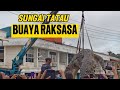 BUAYA RAKSASA SUNGAI TATAU