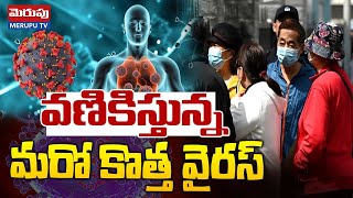 China Mysterious New Virus Out | వణికిస్తున్న మరో కొత్త వైరస్ | COVID-19 | W.H.O. | Merupu Tv