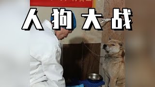 史上最记仇的狗子！被医生绝育后，追着对方骂了4年？