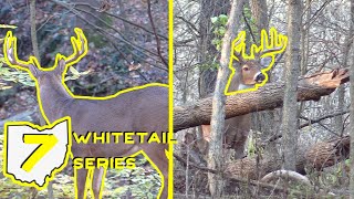 Whitetail Hunting the Ohio Rut | Did We Make a MISTAKE??? | Tough Decisions on Big Ohio Bucks