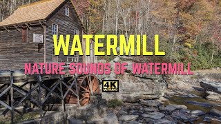 4K Watermill Ambience | Nature Sounds Watermill