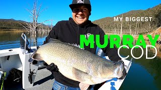 My BIGGEST Murray COD! - Lake Eildon Murray Cod