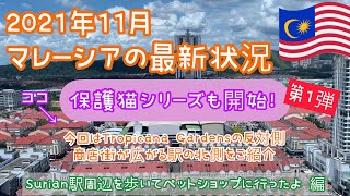 【2021年11月②】最新版15マレーシア・クアラルンプールのリアル生活　「Surian」駅周辺の商店街と保護猫活動をしているペットショップ