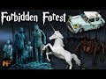 Everything You Need to Know About the Forbidden Forest (History Of)