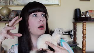 Ask a Mortician- Human Taxidermy?