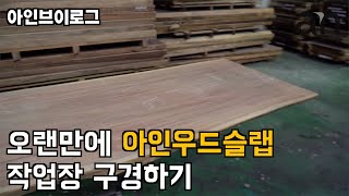 아인우드슬랩의 작업장에는 어떤 나무들이 있을까요? (아인브이로그21)