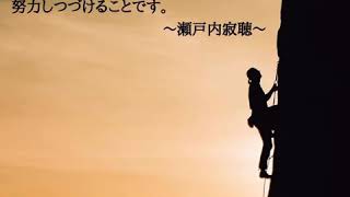 【1分名言】瀬戸内寂聴の人生・愛・人間関係の名言・格言12選