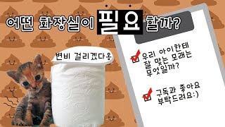 초보집사를 위한 꿀팁#3 고양이 화장실 응고형과 흡수형, 어떤게 더 좋을까?