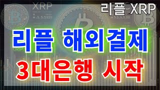 [ 리플 ] 내년이 더 기대되는 이유