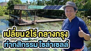 รีวิวใช้จริง ปั้มหอยโข่งโซล่าเซลล์ 2นิ้ว อัดสปริงเกอร์ จ.ปทุมธานี | TEL.080-986-9999