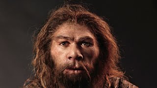 How Neanderthals Lost Their Y Chromosome with Martin Petr, PhD
