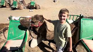 Przejażdżka na wielbłądach po wydmach Maspalomas, Gran Canaria