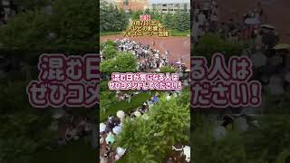 9月7日土曜日ディズニーシー混雑状況