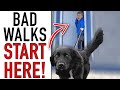 This One Step Will COMPLETELY Change Your Leash Walking Training