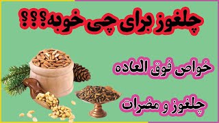 چلغوز برای چی خوبه + خواص فوق العاده چلغوز و مضرات