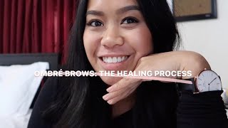 OMBRÉ POWDER BROWS part 2: THE HEALING PROCESS || *sensitive skin*