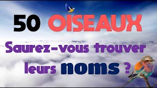 50 oiseaux - Saurez-vous trouver leurs noms ?